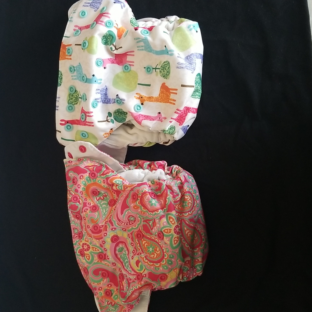 Blueberry Simplex Diapers